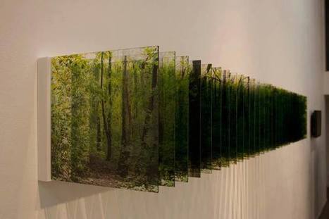 Nobuhiro Nakanishi's Layer Drawing- Light of forest | Art Installations, Sculpture, Contemporary Art | Scoop.it