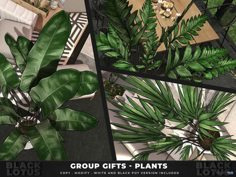 Plants June 2024 Group Gift by Black Lotus | Teleport Hub - Second Life Freebies | Second Life Freebies | Scoop.it
