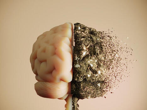 The everyday mineral a Harvard doctor says could help protect your brain from dementia | The Health Report | Scoop.it