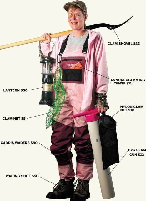 Clam guns! | Sandy Beach Ecology & Management | Scoop.it