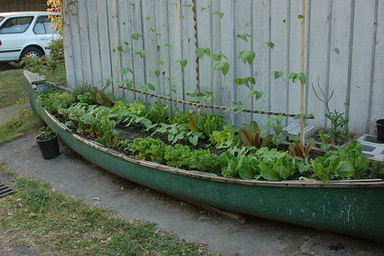 Planter Made From An Old Canoe | 1001 Recycling Ideas ! | Scoop.it
