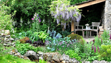 Rustic garden ideas: 7 ways to make your yard feel down-to-earth | Best Backyard Patio Garden Scoops | Scoop.it