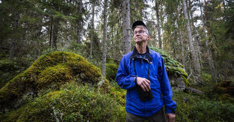Kokkolalainen Seppo Karhula myi Aukustinmets&auml;n suojeltavaksi &ndash; suurten ik&auml;luokkien valtava omaisuus vaihtaa omistajaa | Keski-Pohjanmaa | Yle | A1Uutiset | Scoop.it