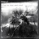 Waterglass - ...And The Bleak Shall Inherit [CD] (2013) - Review - terrarelicta dark music webmagazine | 2013 Music Releases | Scoop.it