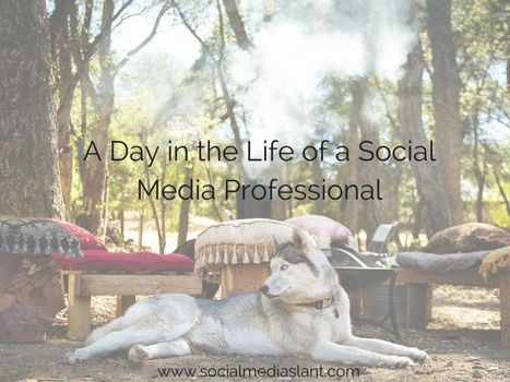 A day in the life of social media professional | Business Improvement and Social media | Scoop.it