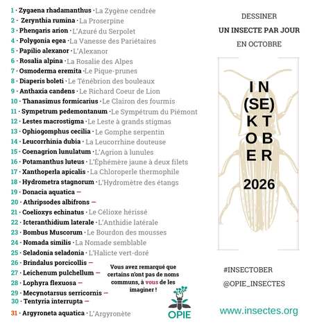 De l'Inktober 2026 &agrave; l'In(se)ktober de l'OPIE&nbsp;: le d&eacute;fi qui va booster votre cr&eacute;ativt&eacute; | Vari&eacute;t&eacute;s entomologiques | Scoop.it