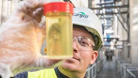 Cargill earns #1 global ranking for removing trans fats from edible oils portfolio | ITERG - Veille sectorielle | Scoop.it