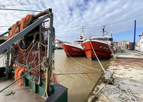 Golfe de Gascogne - Un nouvel arr&ecirc;t de la p&ecirc;che en 2027 | Nouvelle-Aquitaine | Scoop.it