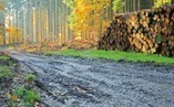 UK pension fund seeking farmland and timberland fund managers | Timberland Investment | Scoop.it