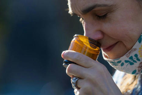 Anti-inflammatory Drugs May Restore COVID-19 Smell Loss | Virology News | Scoop.it