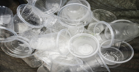 Success! France Bans Plastic Cups, Plates, And Cutlery | Best  Healthy Living Scoops | Scoop.it