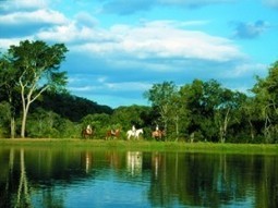 L’écotourisme au Brésil | Ecotourisme | Scoop.it