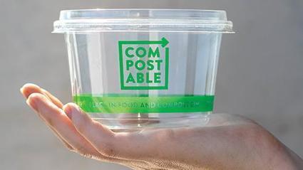 Rethink the Sustainability of Packaging | Sustainable Procurement News | Scoop.it