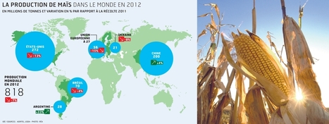 Les marchés céréaliers sous pression dans un contexte de forte réduction des stocks de maïs | Questions de développement ... | Scoop.it
