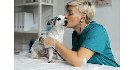 LIVISTO lance une plateforme de soins personnels nommée HappyVetProject pour les vétérinaires | E-sante, web 2.0, 3.0, M-sante, télémedecine, serious games | Scoop.it