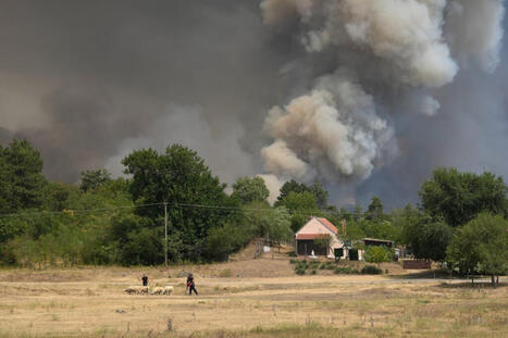 Serbia races to contain wildfires as Europe&rsquo;s blistering heat wave grips the Balkans - WTOP News | Operation Deimos | Scoop.it