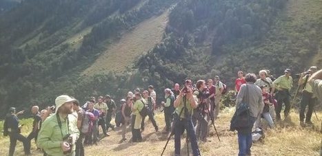 Assemblee pléniére du réseau Avifaune de l'ONF à Guchen | Vallées d'Aure & Louron - Pyrénées | Scoop.it