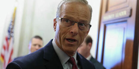 'I am actually stunned': Political scientist shocked at Senate GOP’s 'unprecedented' move - Raw Story | Backstabber Watch | Scoop.it