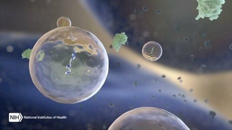 ExRNA: Decoding messages between cells | Immunology for University Students | Scoop.it