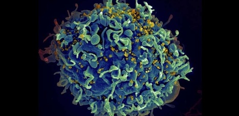 Lentiviral Vectors to Analyze Cell Death Regulators&nbsp; | Vectorology - GEG Tech top picks | Scoop.it