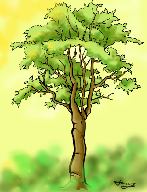 How to Draw a Detailed Tree | Drawing and Painting Tutorials | Scoop.it