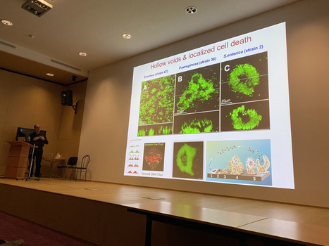 MICROBIOLOGY DEPARTMENT DAY - TRIBUTE TO MICKAEL DUBOW: 30 SEPTEMBER 2022 | I2BC Paris-Saclay | Scoop.it