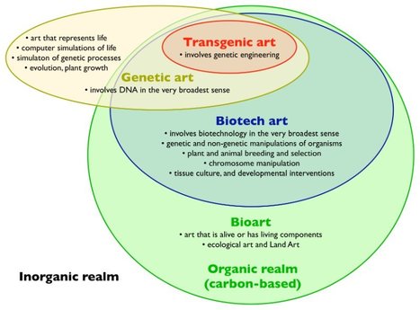 Bio-Arts. Les arts de l&rsquo;essence de la vie par&nbsp;Pier Luigi Capucci (2016) // #bioart #artsci | Arts Num&eacute;riques - anthologie de textes | Scoop.it