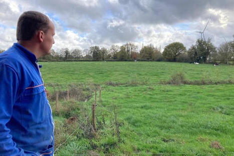 "Elles ne voulaient plus rentrer dans le robot". Les vaches souffrent-elles de la proximité des éoliennes ? - France 3 régions | Agriculture en Pays de la Loire | Scoop.it