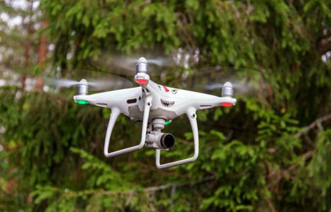 35 agents forestiers formés à la télédétection par drone | Télédétection veille IST INRAE & AgroParisTech | Scoop.it