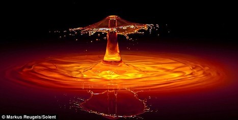 Sound, water and science! Artist makes a splash with his amazing portfolio of liquid droplets | Amazing Science | Scoop.it