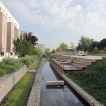 Peut-on compter sur la séquence « Éviter, réduire, compenser » pour atteindre le zéro artificialisation nette ? | Biodiversité | Scoop.it