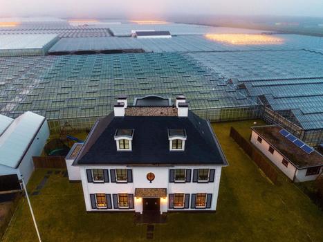 How the Netherlands Feeds the World | Stage 5 Sustainable Biomes | Scoop.it