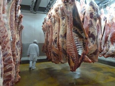 Agriculture - Un éleveur nivernais réagit à l'annonce de Sicarev de se désengager de l'abattoir de Corbigny | La Gazette des abattoirs | Scoop.it