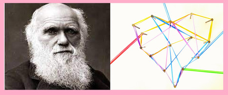 What&rsquo;s love got to do with it? From &lsquo;survival of the fittest&rsquo; to compassionate connection [online course] | CxAnnouncements | Scoop.it