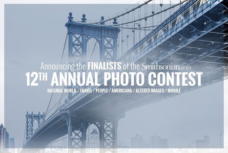 Finalists of the 12th Annual Smithsonian.com Photo Contest | 16s3d: Bestioles, opinions & pétitions | Scoop.it