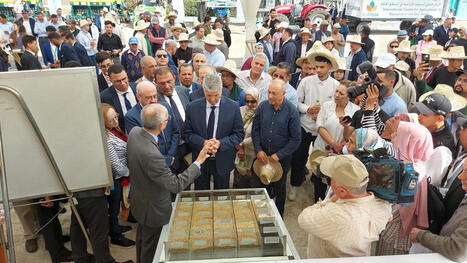 MAROC : L’INRA et l’ICARDA : nouvelles obtentions végétales au profit des agriculteurs | MED-Amin network | Scoop.it