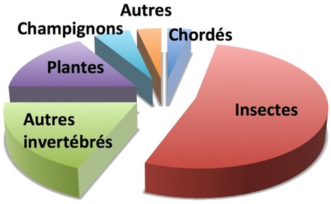 Pourquoi étudier l’histoire naturelle et la taxonomie des insectes ? | EntomoScience | Scoop.it