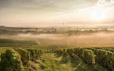 Gen&egrave;ve Tourisme mise sur la durabilit&eacute; | Tourisme Durable - Slow | Scoop.it