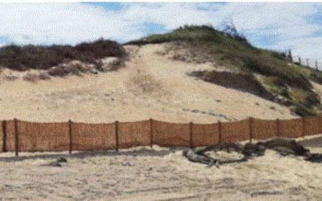 Capbreton. « Une volonté de protéger nos plages » | Landes | Scoop.it