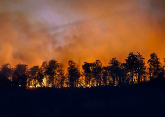 Loi de prévention des incendies : l'Assemblée déplore une application partielle | Politiques publiques et société | Scoop.it