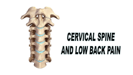 Cervical Spine & Low Back Pain | El Paso Back Clinic® • 915-850-0900 | Spine Health & Spinal Hygiene | Scoop.it