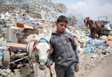À Gaza, l'entité sioniste fait des expérimentations sur des humains en situation de stress et de privations | ACTUALITÉ | Scoop.it