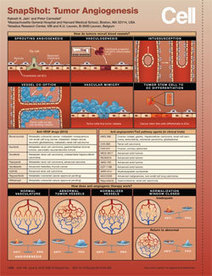Immunology SnapShots: The Archive | Cell Press | Immunology for University Students | Scoop.it