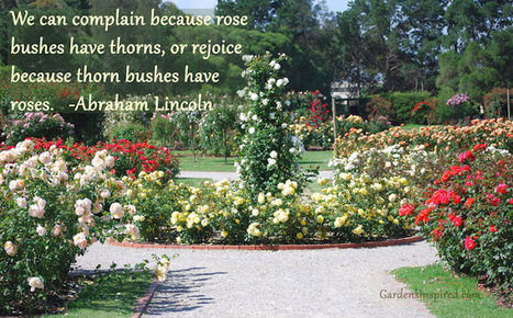 From Abraham Lincoln | The Muse | Scoop.it
