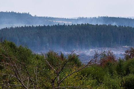 La Wallonie acc&eacute;l&egrave;re sa pr&eacute;paration face aux risques climatiques et pr&eacute;pare la restauration des Hautes Fagnes | Notre revue de presse | Scoop.it