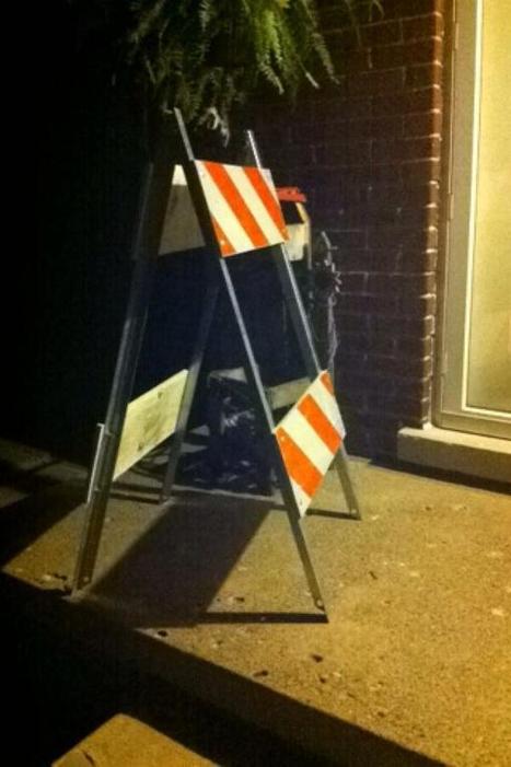 Tweet from @JaimeFreas | Traffic Cones | Scoop.it