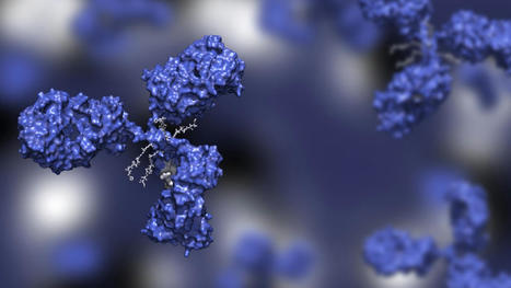 The antibody–drug conjugate renaissance | Immunology and Biotherapies | Scoop.it