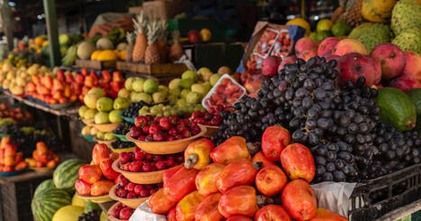 Pesticides: la France va suspendre les importations de produits d'Am&eacute;rique du Sud contenant des substances interdites en Europe | Plan&egrave;te DDurable | Scoop.it