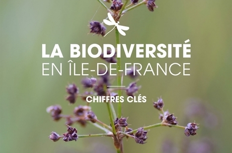 La biodiversité en Île-de-France : Chiffres-clés | Insect Archive | Scoop.it