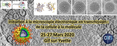 Formation Microscopie Electronique - Gif-sur-Yvette, 25-27 mars 2020 | Life Sciences Université Paris-Saclay | Scoop.it